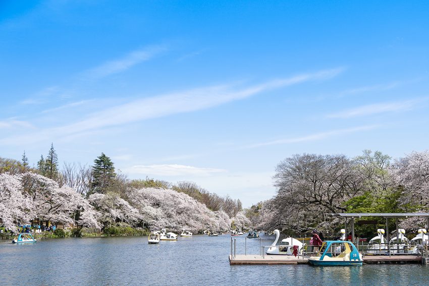 Parco Inokashira