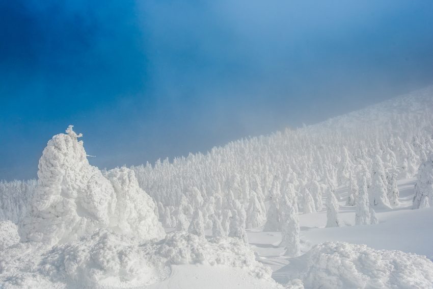 Alberi innevati Monte Zaō