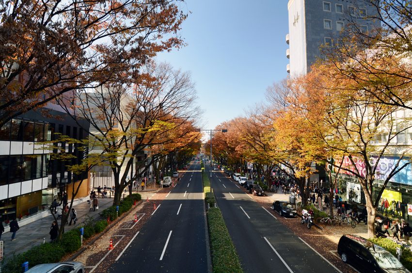 Strada Omotesando