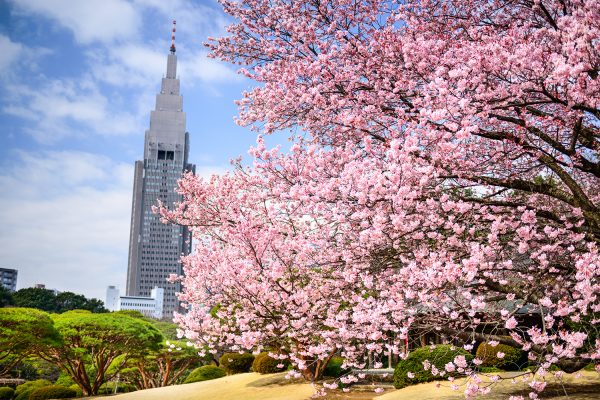 Shinjuku Gyoen