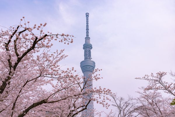 Tokyo SkyTree