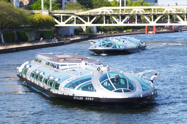 Crociera sul fiume Sumida