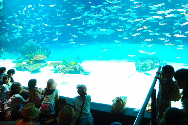 Sunshine Aquarium